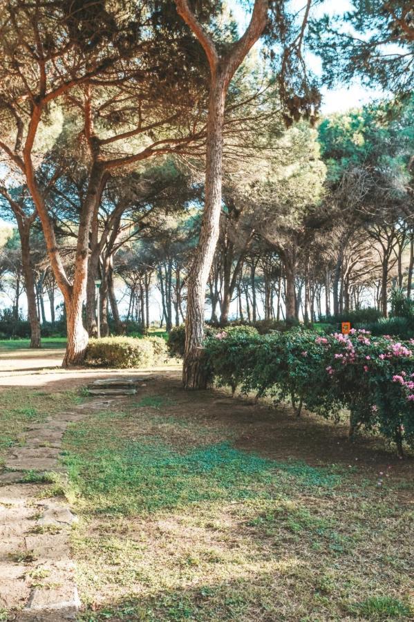 Casa Di Gio Villa Pula Exteriör bild